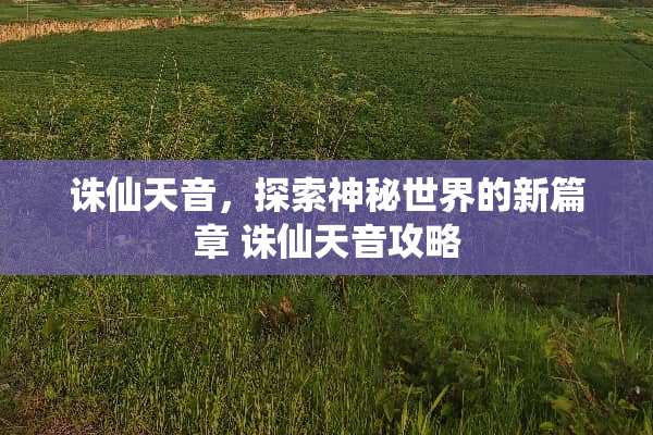 诛仙天音，探索神秘世界的新篇章 诛仙天音攻略