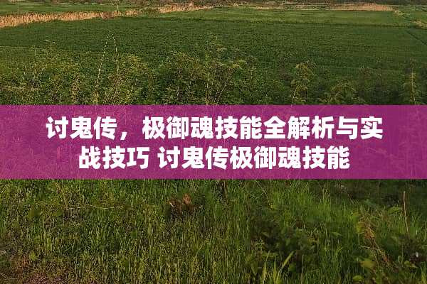 讨鬼传，极御魂技能全解析与实战技巧 讨鬼传极御魂技能
