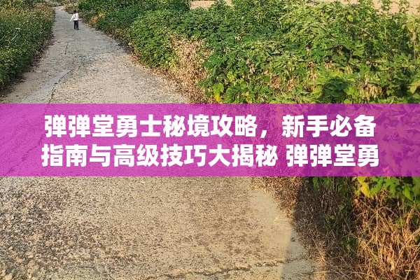 弹弹堂勇士秘境攻略，新手必备指南与高级技巧大揭秘 弹弹堂勇士秘境攻略