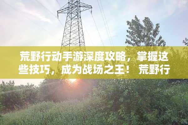 荒野行动手游深度攻略，掌握这些技巧，成为战场之王！ 荒野行动手游攻略