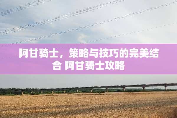 阿甘骑士，策略与技巧的完美结合 阿甘骑士攻略