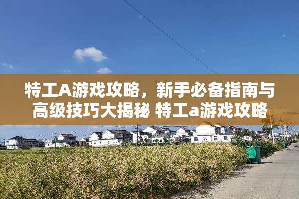 特工A游戏攻略，新手必备指南与高级技巧大揭秘 特工a游戏攻略
