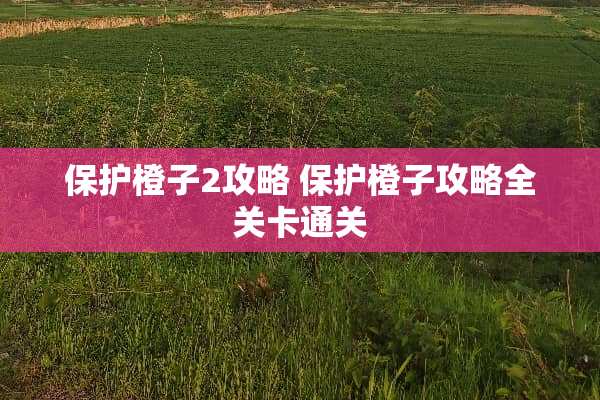 保护橙子2攻略 保护橙子攻略全关卡通关