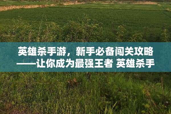 英雄**游，新手必备闯关攻略——让你成为最强王者 英雄**游闯关攻略