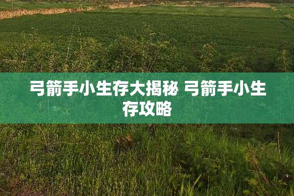 弓箭手小生存大揭秘 弓箭手小生存攻略