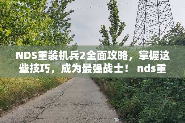 NDS重装机兵2全面攻略，掌握这些技巧，成为最强战士！ nds重装机兵2攻略