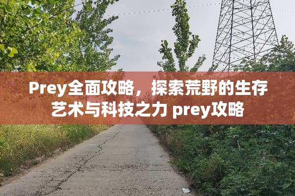 Prey全面攻略，探索荒野的生存艺术与科技之力 prey攻略