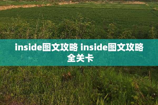 inside图文攻略 inside图文攻略 全关卡