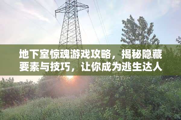 **室惊魂游戏攻略，揭秘隐藏要素与技巧，让你成为逃生达人！**室惊魂游戏攻略