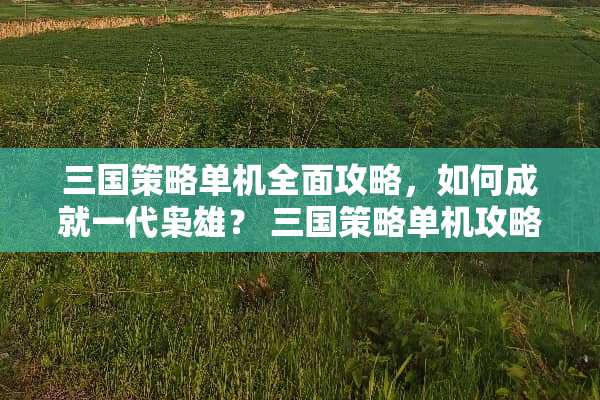 三国策略单机全面攻略，如何成就一代枭雄？ 三国策略单机攻略