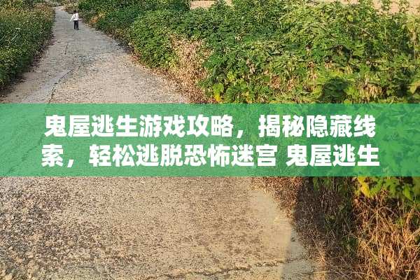 鬼屋逃生游戏攻略，揭秘隐藏线索，轻松逃脱恐怖迷宫 鬼屋逃生游戏攻略
