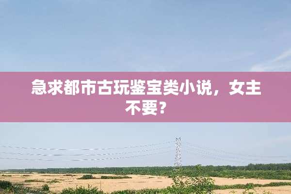 急求都市古玩鉴宝类小说，女主不要？