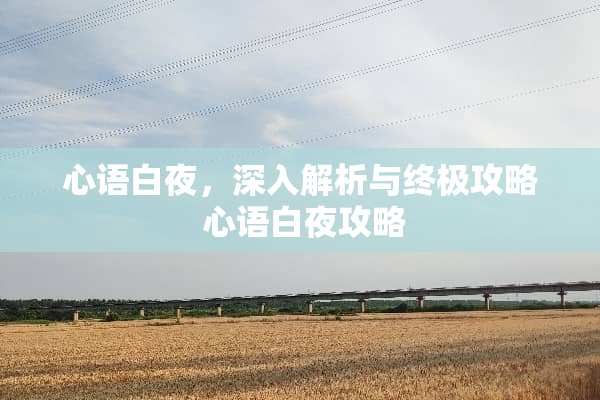心语白夜，深入解析与终极攻略 心语白夜攻略