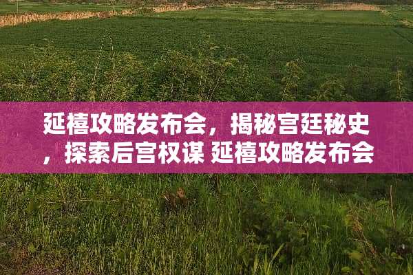 延禧攻略发布会，揭秘宫廷秘史，探索后宫权谋 延禧攻略发布会