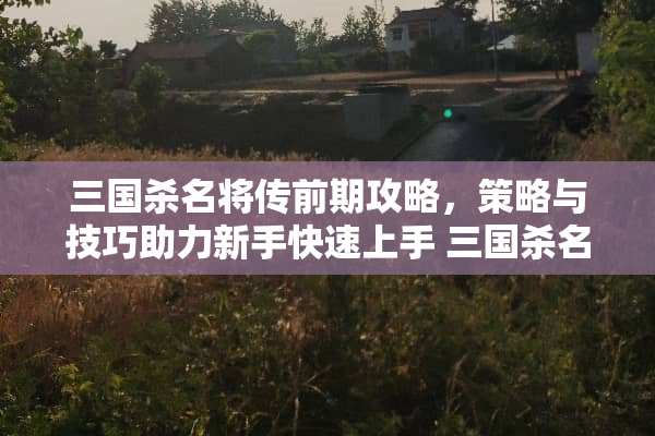 三国杀名将传前期攻略，策略与技巧助力新手快速上手 三国杀名将传前期攻略