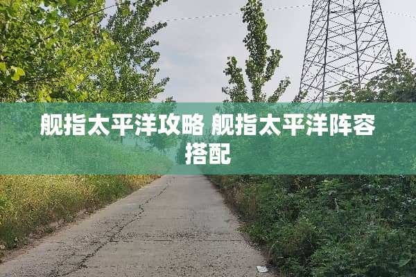 舰指太平洋攻略 舰指太平洋阵容搭配