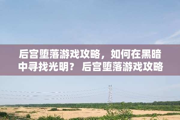 后宫**游戏攻略，如何在黑暗中寻找光明？ 后宫**游戏攻略