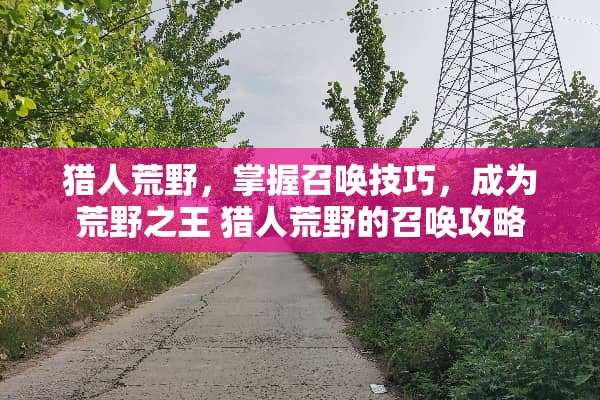 猎人荒野，掌握召唤技巧，成为荒野之王 猎人荒野的召唤攻略