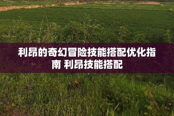利昂的奇幻冒险技能搭配优化指南 利昂技能搭配