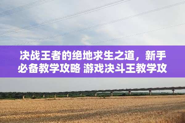 决战王者的绝地求生之道，新手必备教学攻略 游戏决斗王教学攻略