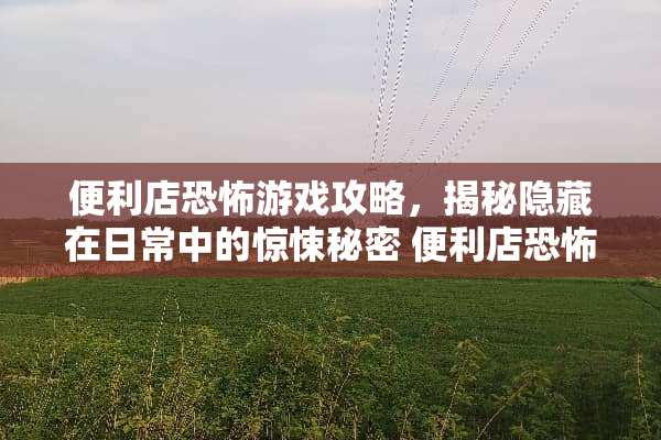 便利店恐怖游戏攻略，揭秘隐藏在日常中的惊悚秘密 便利店恐怖游戏攻略