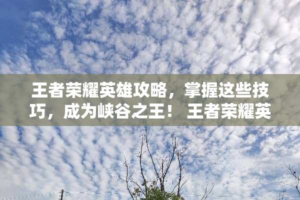 王者荣耀英雄攻略，掌握这些技巧，成为峡谷之王！ 王者荣耀英雄攻略