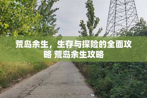 荒岛余生，生存与探险的全面攻略 荒岛余生攻略