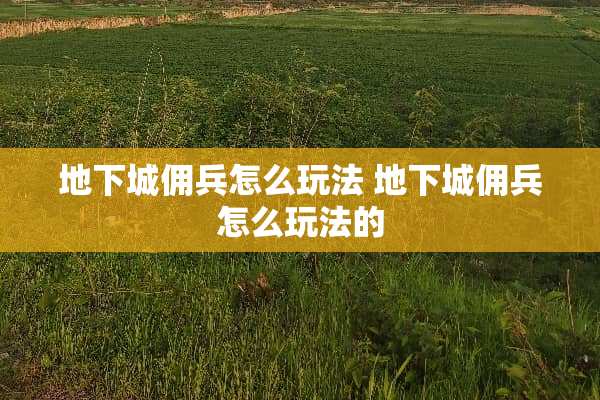 **城佣兵怎么玩法**城佣兵怎么玩法的