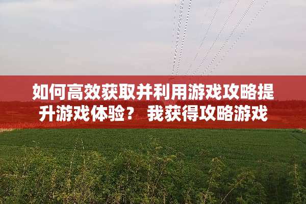 如何高效获取并利用游戏攻略提升游戏体验？ 我获得攻略游戏