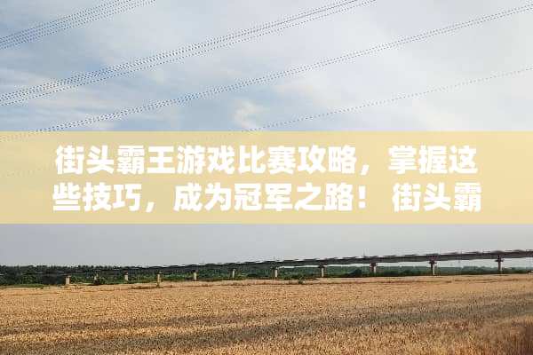 街头**游戏比赛攻略，掌握这些技巧，成为冠军之路！ 街头**游戏比赛攻略