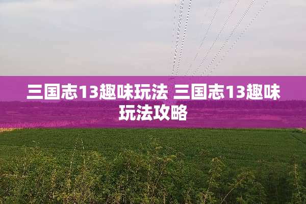 三国志13趣味玩法 三国志13趣味玩法攻略