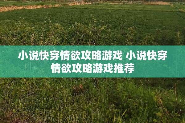 小说快穿**攻略游戏 小说快穿**攻略游戏推荐