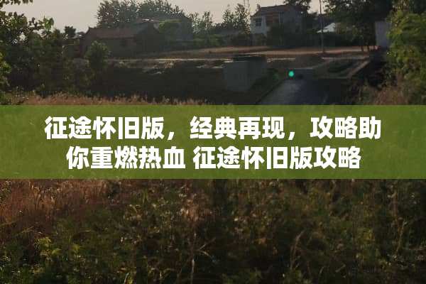 ****版，经典再现，攻略助你重燃热血****版攻略