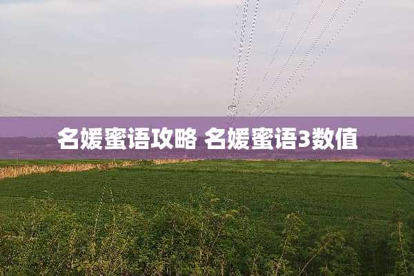 名媛蜜语攻略 名媛蜜语3数值