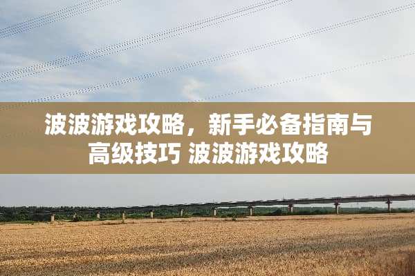 波波游戏攻略，新手必备指南与高级技巧 波波游戏攻略