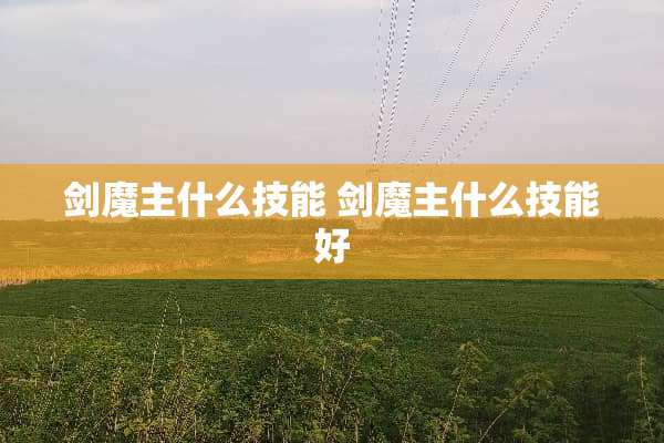 **主什么技能 **主什么技能好