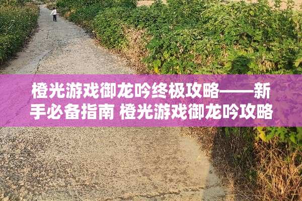 橙光游戏御龙吟终极攻略——新手必备指南 橙光游戏御龙吟攻略