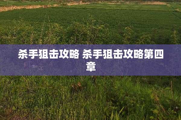 ****攻略****攻略第四章