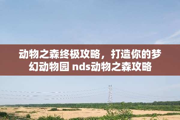 动物之森终极攻略，打造你的梦幻动物园 nds动物之森攻略