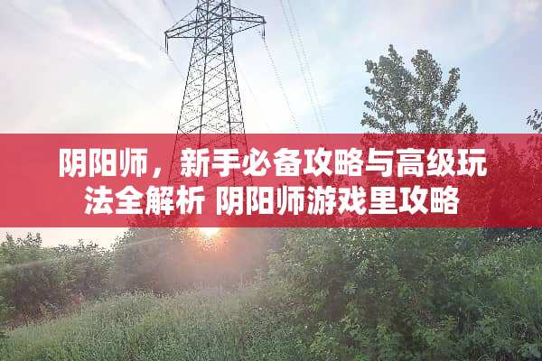 *阳师，新手必备攻略与高级玩法全解析*阳师游戏里攻略