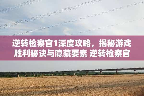 逆转检察官1深度攻略，揭秘游戏胜利秘诀与隐藏要素 逆转检察官1攻略