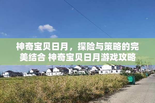 神奇宝贝日月，探险与策略的完美结合 神奇宝贝日月游戏攻略