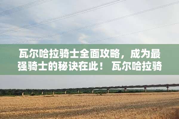 瓦尔哈拉骑士全面攻略，成为最强骑士的秘诀在此！ 瓦尔哈拉骑士攻略