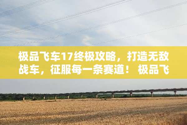 极品飞车17终极攻略，打造无敌战车，征服每一条赛道！ 极品飞车17攻略