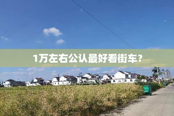 1万左右公认最好看街车？