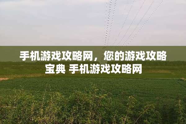 手机游戏攻略网，您的游戏攻略宝典 手机游戏攻略网