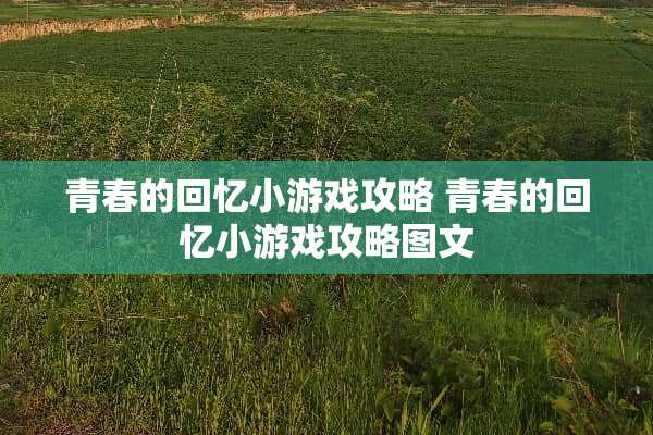 青春的回忆小游戏攻略 青春的回忆小游戏攻略图文