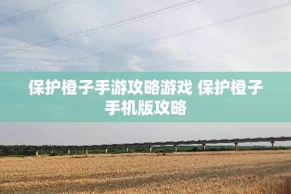 保护橙子手游攻略游戏 保护橙子手机版攻略
