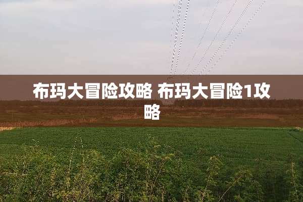 布玛大冒险攻略 布玛大冒险1攻略