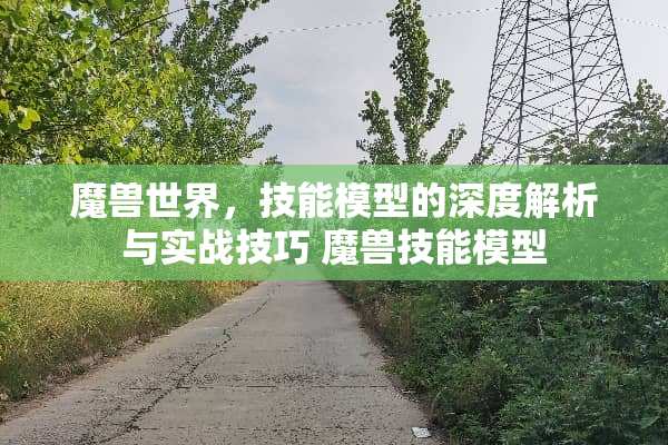 魔兽世界，技能模型的深度解析与实战技巧 魔兽技能模型
